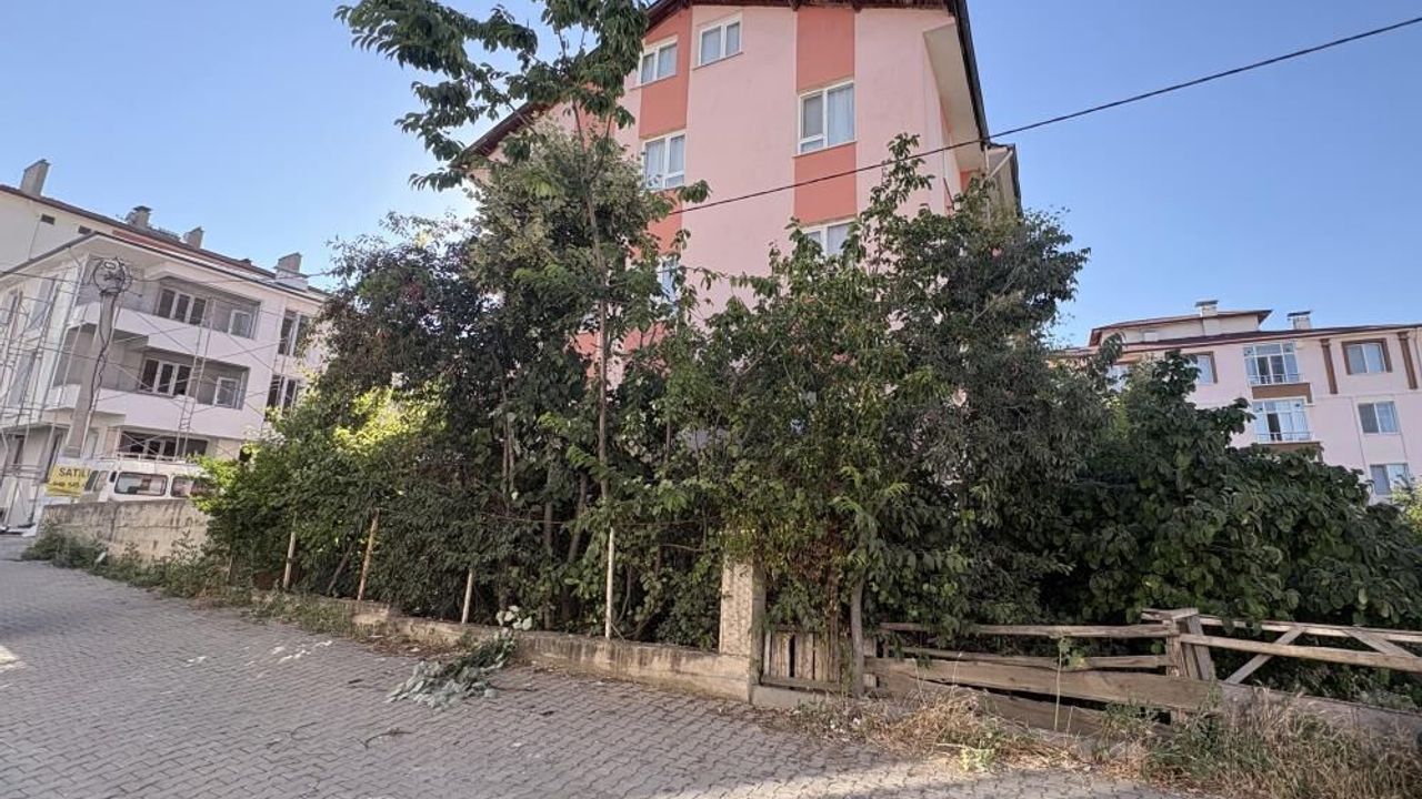 Ihlamur toplamak isterken facia: Emekli öğretmen hastaneye kaldırıldı