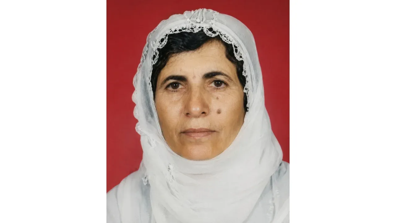 Eve giren maskeli saldırganlar 70 yaşındaki kadını darbetti