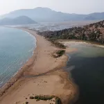 Caretta caretta Tuba’nın yeni rotası Bodrum oldu