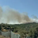İzmir'de orman yangını: Alevlere havadan ve karadan müdahale sürüyor