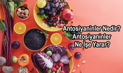 Doğanın en faydalı unsuru bu mu? Antosiyanin Nedir?