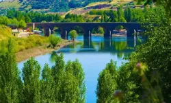Dicle: Mezopotamya'nın Ana Ruhu