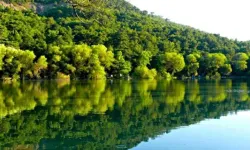 Saklı cennet: Karagöl Tabiat Parkı'na nasıl gidilir?