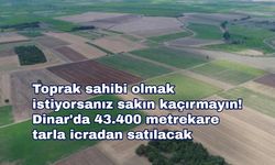 Toprak sahibi olmak istiyorsanız sakın kaçırmayın! Dinar'da 43.400 metrekare tarla icradan satılacak