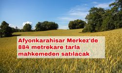 Afyonkarahisar Merkez'de 884 metrekare tarla mahkemeden satılacak