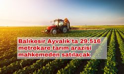 Balıkesir Ayvalık'ta 29.516 metrekare tarım arazisi mahkemeden satılacak