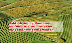 Balıkesir Sındırgı Emendere Mahallesi'nde 104 metrekare bahçe mahkemeden satılacak