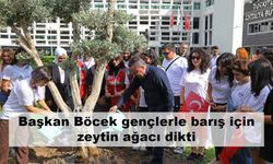 Başkan Böcek gençlerle barış için zeytin ağacı dikti