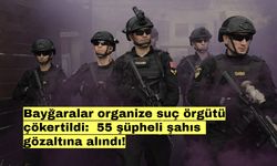 Bayğaralar organize suç örgütü çökertildi: 55 şüpheli şahıs gözaltına alındı!