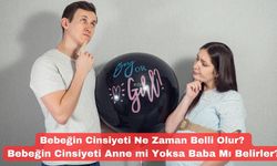 Bebeğin Cinsiyeti Ne Zaman Belli Olur? Bebeğin Cinsiyeti Anne mi Yoksa Baba Mı Belirler?