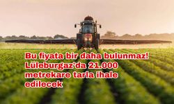 Bu fiyata bir daha bulunmaz! Lüleburgaz'da 21.000 metrekare tarla ihale edilecek