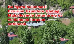 Bu fiyata bulunmaz! Erzurum Uzundere Ulubağ Mahallesinde betonarme ev ve bahçesi icradan satılacak