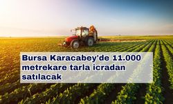 Bursa Karacabey'de 11.000 metrekare tarla icradan satılacak