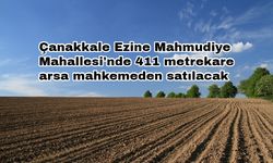 Çanakkale Ezine Mahmudiye Mahallesi'nde 411 metrekare arsa mahkemeden satılacak