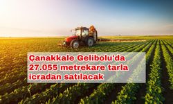 Çanakkale Gelibolu'da 27.055 metrekare tarla icradan satılacak