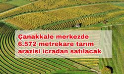 Çanakkale merkezde 6.572 metrekare tarım arazisi icradan satılacak