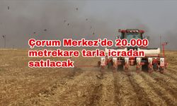 Çorum Merkez'de 20.000 metrekare tarla icradan satılacak