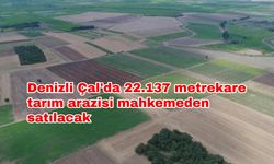 Denizli Çal'da 22.137 metrekare tarım arazisi mahkemeden satılacak