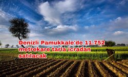 Denizli Pamukkale'de 11.752 metrekare tarla icradan satılacak