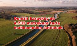 Denizli Sarayköy'de 4.733 metrekare tarla mahkemeden satılacak