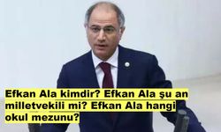 Efkan Ala kimdir? Efkan Ala şu an milletvekili mi? Efkan Ala hangi okul mezunu?