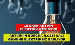 Artvin'in Borçka ilçesi Salı gününe elektriksiz başlıyor -10 Ekim Artvin elektrik kesintileri