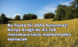 Bu fiyata bir daha bulunmaz! Konya Ereğli'de 83.746 metrekare tarla mahkemeden satılacak