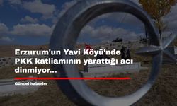 Erzurum'un Yavi Köyü'nde PKK katliamının yarattığı acı dinmiyor...