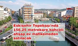 Eskişehir Tepebaşı’nda 156,25 metrekare bahçeli ahşap ev mahkemeden satılacak