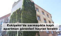 Eskişehir'de sarmaşıkla kaplı apartman görenleri hayran bıraktı