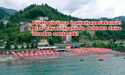 Fiyatı görünce inanamayacaksınız! Rize Çayeli ilçesinde dubleks daire icradan satılacak!