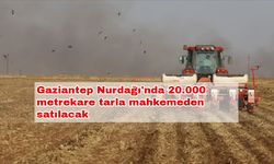 Gaziantep Nurdağı'nda 20.000 metrekare tarla mahkemeden satılacak