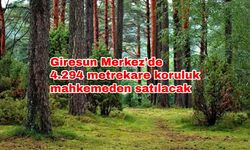 Giresun Merkez'de 4.294 metrekare koruluk mahkemeden satılacak