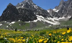 Hakkari'nin alan kodu nedir? 0438 nerenin alan kodu?
