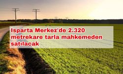 Isparta Merkez'de 2.320 metrekare tarla mahkemeden satılacak