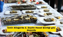 İzmir Aliağa’da 2. Zeytin Hasat Şenliği göz doyurdu