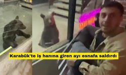 Karabük'te iş hanına giren ayı esnafa saldırdı