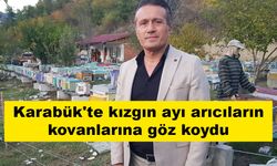 Karabük'te kızgın ayı arıcıların kovanlarına göz koydu