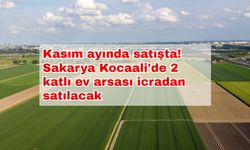 Kasım ayında satışta! Sakarya Kocaali'de 2 katlı ev arsası icradan satılacak