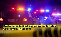 Kastamonu'da 5 adrese eş zamanlı Kafes Operasyonu: 4 gözaltı
