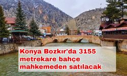 Konya Bozkır'da 3155 metrekare bahçe mahkemeden satılacak