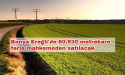 Konya Ereğli'de 60.930 metrekare tarla mahkemeden satılacak