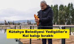 Kütahya Belediyesi Yedigöller'e Koi balığı bıraktı