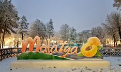 Malatya'nın alan kodu nedir? 0422 nerenin alan kodu?