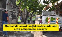 Manisa'da sokak sağlıklaştırmada son etap çalışmaları sürüyor