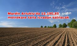 Mardin Artuklu'da 12.190,85 metrekare tarla icradan satılacak