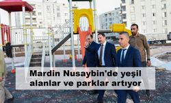 Mardin Nusaybin'de yeşil alanlar ve parklar artıyor