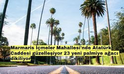 Marmaris İçmeler Mahallesi'nde Atatürk Caddesi güzelleşiyor: 23 yeni palmiye ağacı dikiliyor