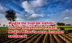 Muğla’da toprak sahibi olmak isteyenler dikkat! Muğla Milas’ta arsa icradan satılacak