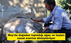 Muş'da doğadan topladığı ağaç ve taşları sanat eserine dönüştürüyor